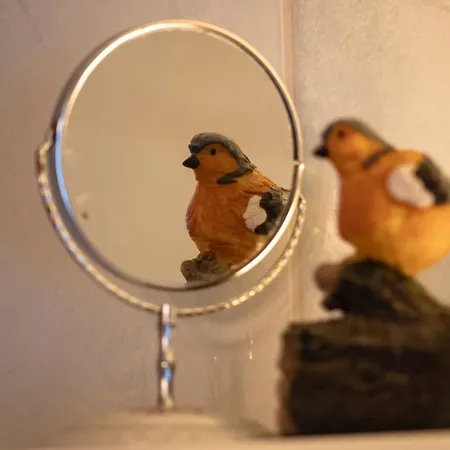 Charming House With Exceptional View Σπίτι διακοπών