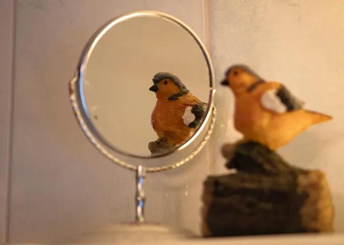 Charming House With Exceptional View Casa de Férias